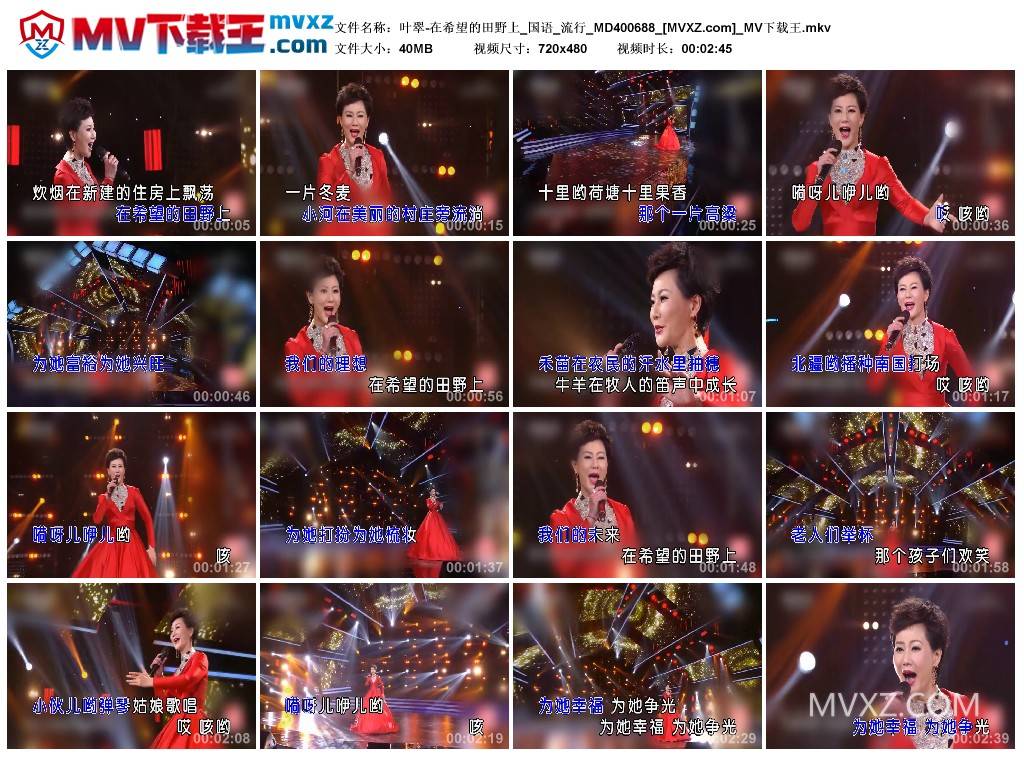 叶翠-在希望的田野上_国语_流行_MD400688
